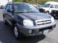 2005 Moonlit Blue Hyundai Santa Fe GLS 4WD  photo #3