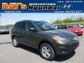 Cabo Bronze - Santa Fe GLS AWD Photo No. 1