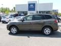 Cabo Bronze - Santa Fe GLS AWD Photo No. 4