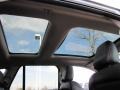 2007 Lincoln MKX Charcoal Black Interior Sunroof Photo