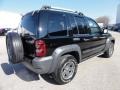 2005 Black Clearcoat Jeep Liberty Renegade  photo #9