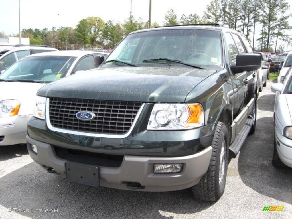 2003 Expedition XLT 4x4 - Aspen Green Metallic / Flint Grey photo #1