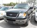 2003 Aspen Green Metallic Ford Expedition XLT 4x4  photo #1