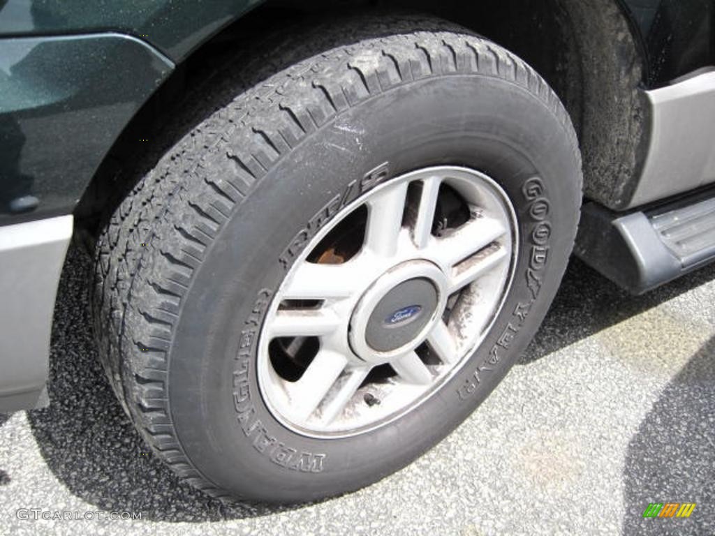 2003 Expedition XLT 4x4 - Aspen Green Metallic / Flint Grey photo #6