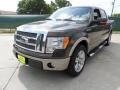 2009 Stone Green Metallic Ford F150 Lariat SuperCrew  photo #7