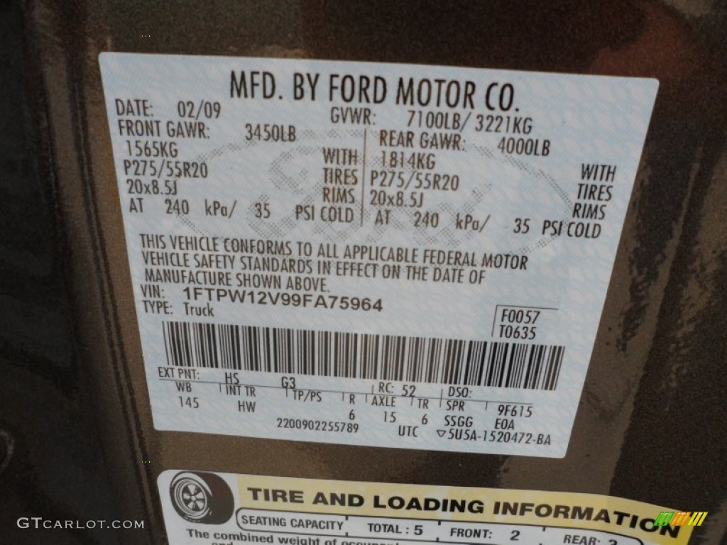 2009 F150 Color Code HS for Stone Green Metallic Photo #64451904