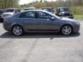Polished Metal Metallic - TL 3.2 Photo No. 7
