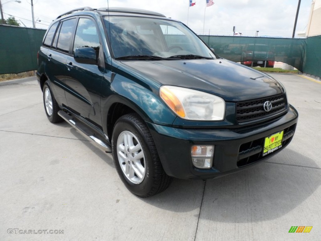 2002 RAV4  - Rainforest Green Pearl / Gray photo #1