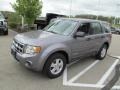 2008 Tungsten Grey Metallic Ford Escape XLS 4WD  photo #5