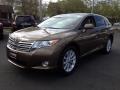 2009 Sunset Bronze Mica Toyota Venza I4  photo #1