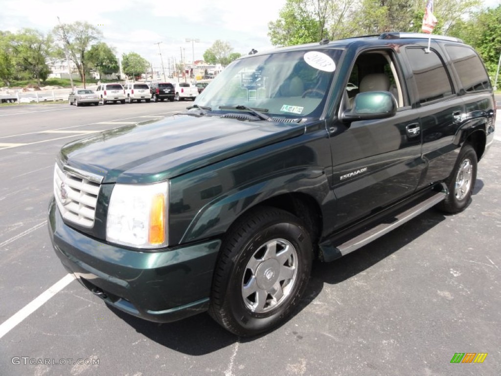 2003 Escalade AWD - Green Envy / Shale photo #2