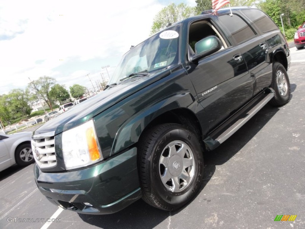 2003 Escalade AWD - Green Envy / Shale photo #3