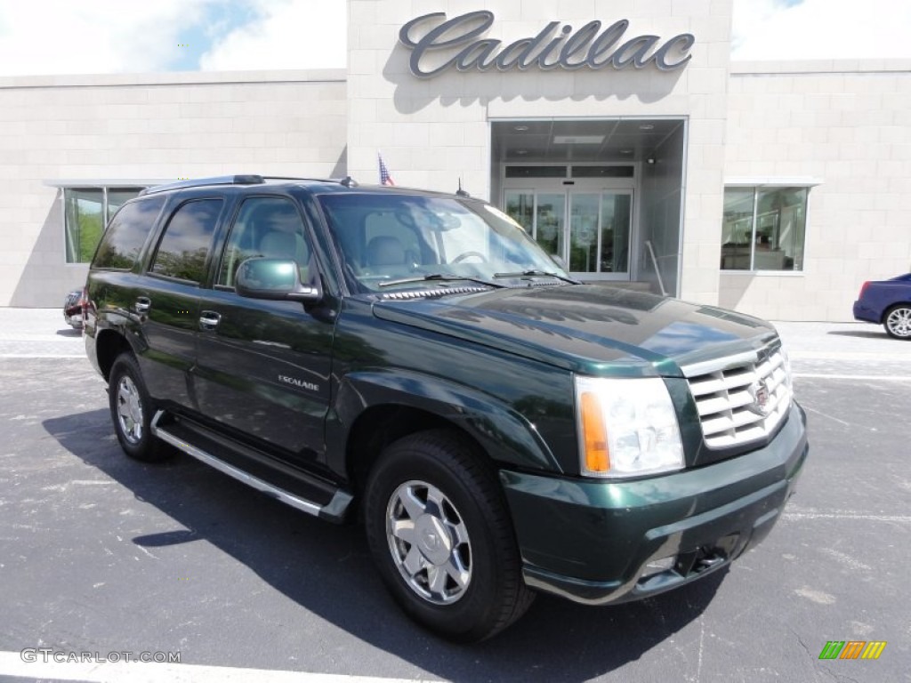 2003 Escalade AWD - Green Envy / Shale photo #5