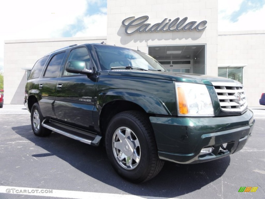 2003 Escalade AWD - Green Envy / Shale photo #6