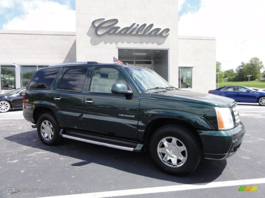 2003 Escalade AWD - Green Envy / Shale photo #7