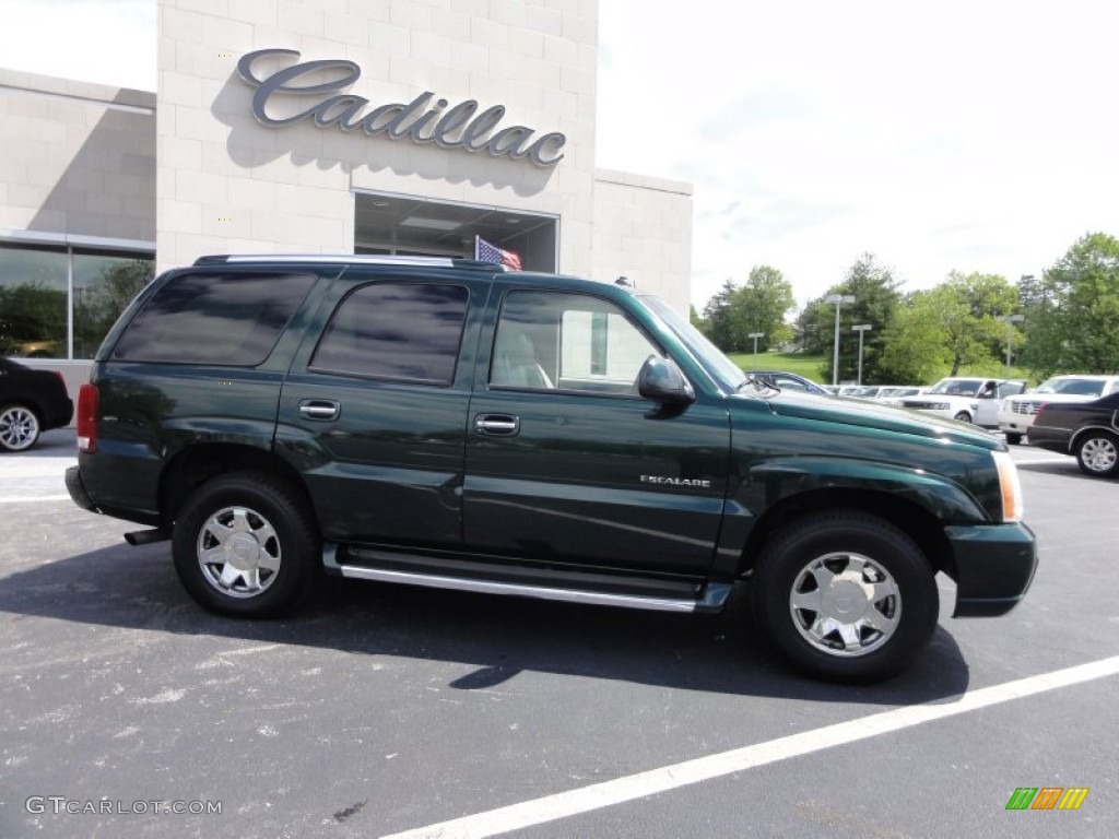 2003 Escalade AWD - Green Envy / Shale photo #8