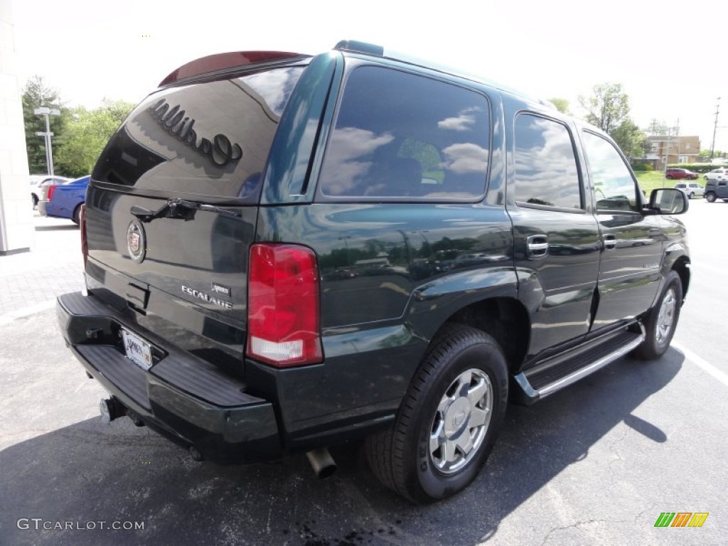 2003 Escalade AWD - Green Envy / Shale photo #9