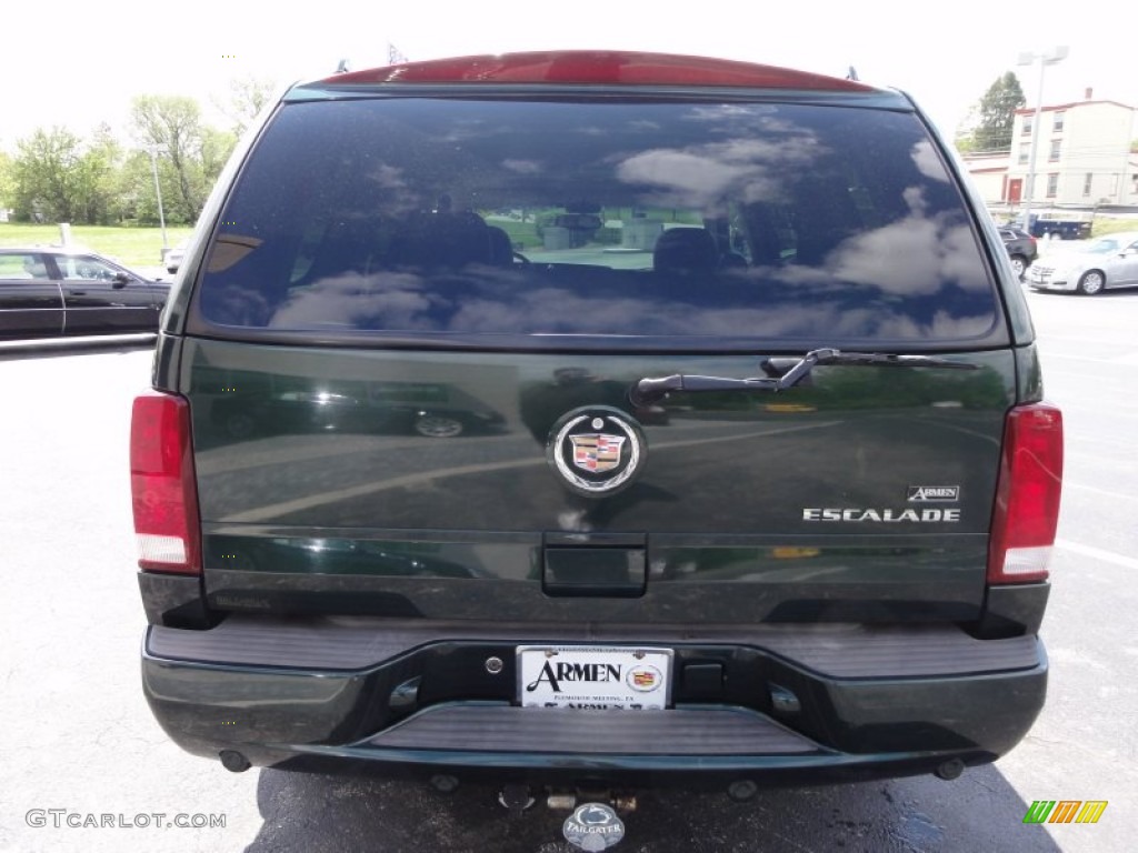 2003 Escalade AWD - Green Envy / Shale photo #10
