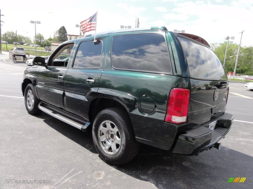 2003 Escalade AWD - Green Envy / Shale photo #11