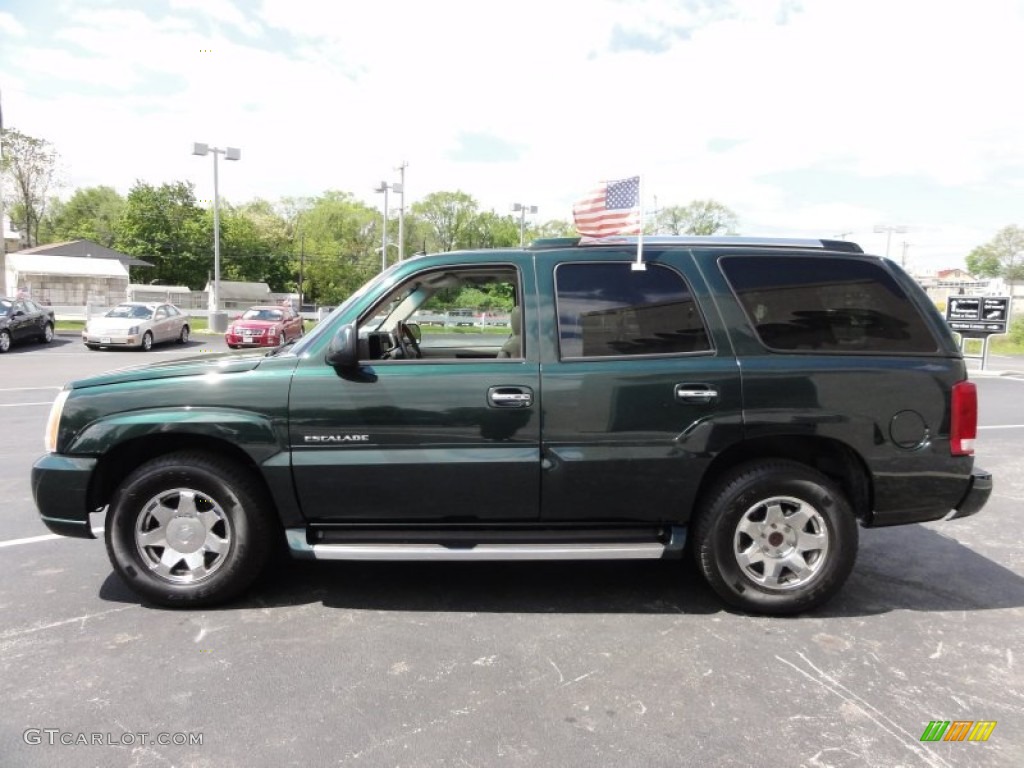 2003 Escalade AWD - Green Envy / Shale photo #12