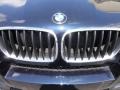 2010 BMW X6 M Standard X6 M Model Badge and Logo Photo