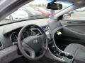 Iridescent Silver Blue Pearl - Sonata GLS Photo No. 6