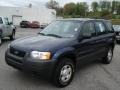 2003 True Blue Metallic Ford Escape XLS V6 4WD  photo #3