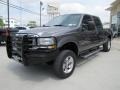 2004 Dark Shadow Grey Metallic Ford F250 Super Duty Lariat Crew Cab 4x4  photo #5