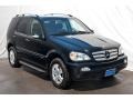 Black - ML 350 4Matic Photo No. 6