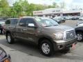 2010 Pyrite Brown Mica Toyota Tundra Limited Double Cab 4x4  photo #1