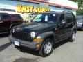 Black Clearcoat - Liberty Sport 4x4 Photo No. 3