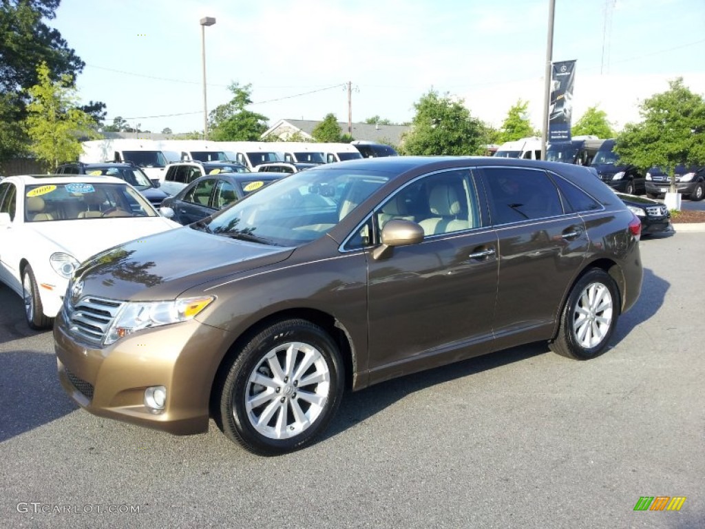 Sunset Bronze Mica Toyota Venza