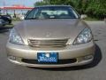 Mystic Gold Metallic - ES 330 Photo No. 7