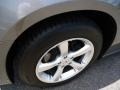 Tungsten Metallic - Charger Rallye Photo No. 9
