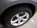 Tungsten Metallic - Charger Rallye Photo No. 12