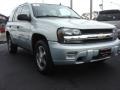 Silverstone Metallic - TrailBlazer LS Photo No. 1