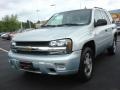 Silverstone Metallic - TrailBlazer LS Photo No. 7