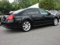 Super Black - Maxima 3.5 SE Photo No. 4