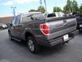 2011 Sterling Grey Metallic Ford F150 XLT SuperCab  photo #6