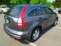 2010 Polished Metal Metallic Honda CR-V LX  photo #6