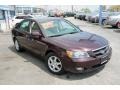 Dark Cinnamon - Sonata GLS V6 Photo No. 3