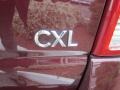 2007 Buick Terraza CXL Badge and Logo Photo