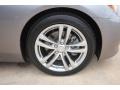 Platinum Graphite Gray - G 37 Coupe Photo No. 27