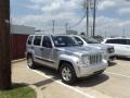 Bright Silver Metallic - Liberty Sport Photo No. 2