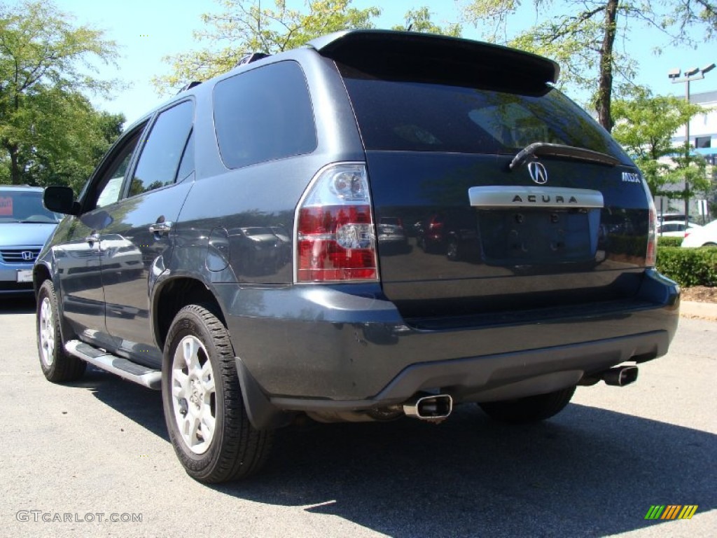 2004 MDX  - Sagebrush Pearl / Quartz photo #10
