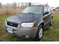 2002 True Blue Metallic Ford Escape XLT V6 4WD  photo #1