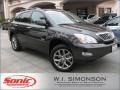Smokey Granite - RX 350 AWD Photo No. 1
