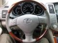 Smokey Granite - RX 350 AWD Photo No. 20