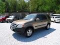 Mojave Mist Metallic - CR-V EX 4WD Photo No. 4