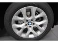 2013 Space Gray Metallic BMW X5 xDrive 35i Premium  photo #7